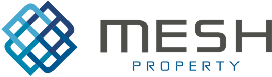 Mesh Property